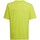 Vêtements Garçon T-shirts manches courtes adidas Originals Entrada 22 Graphic Jersey Jaune, Blanc