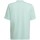 Vêtements Garçon T-shirts manches courtes adidas Originals Entrada 22 Graphic Jersey Vert, Gris