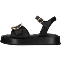 Chaussures Femme Sandales et Nu-pieds Paola Ferri D7708 Noir