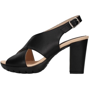 Chaussures Femme Sandales et Nu-pieds CallagHan 99129 Noir