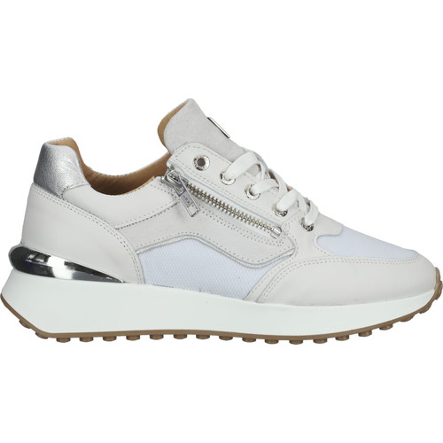 Chaussures Femme Baskets basses Scapa Sneaker Blanc
