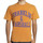 Vêtements Homme T-shirts manches courtes Franklin & Marshall T-shirt à manches courtes Orange