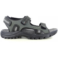 Chaussures Homme Sandales et Nu-pieds Grisport GRIS815001 Gris
