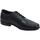 Chaussures Homme Derbies & Richelieu Geox U926SA Calgary Noir