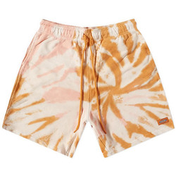 Vêtements Versace Shorts / Bermudas Dickies SEATAC CELADON Marron