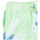 Vêtements Homme Shorts / Bermudas Dickies SEATAC CELADON Vert