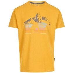 Vêtements Homme T-shirts manches longues Trespass Daytona Multicolore