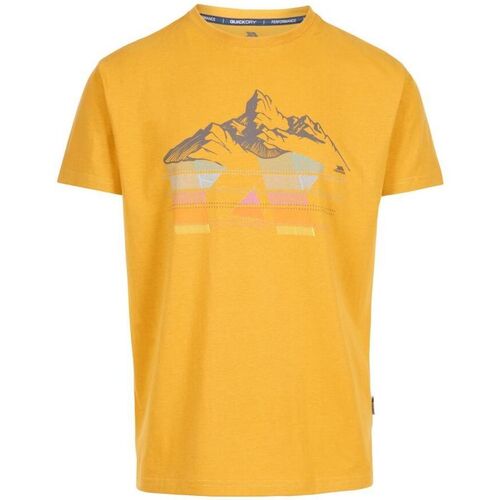 Vêtements Homme T-shirts manches longues Trespass TP5472 Multicolore