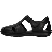 Chaussures Homme Sandales et Nu-pieds Melluso U75132B Noir