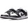 Chaussures Femme Baskets basses Nike DUNK LO NEXT NATURE Blanc