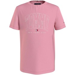 Vêtements Garçon T-shirts manches courtes Tommy Hilfiger  Rose