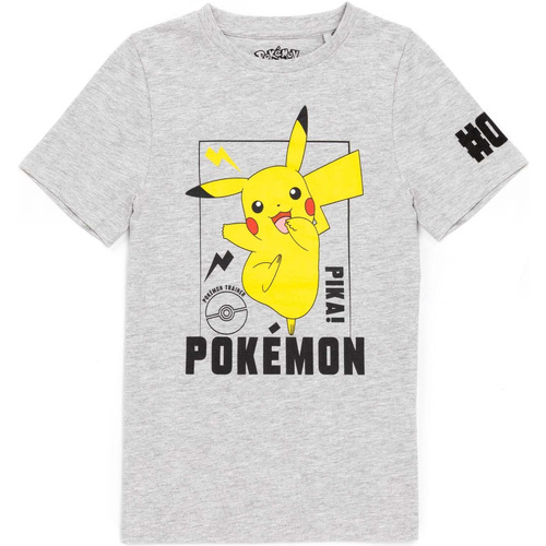 Vêtements Enfant T-shirts manches courtes Pokemon  Gris