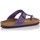 Chaussures Femme Sandales et Nu-pieds Interbios SANDALES  7110 Violet