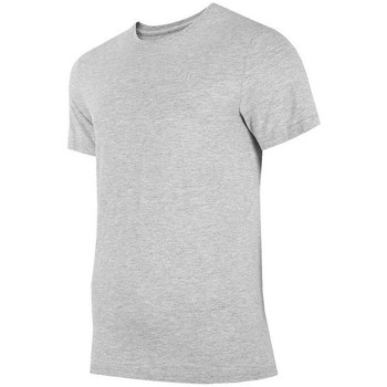 Vêtements Homme T-shirts manches courtes 4F TSM352 Gris