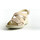 Chaussures Femme Sandales et Nu-pieds Imac 156870 Beige