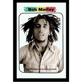 Maison & Déco Miroirs Bazooka Miroir rectangulaire sérigraphié Bob Marley Multicolore