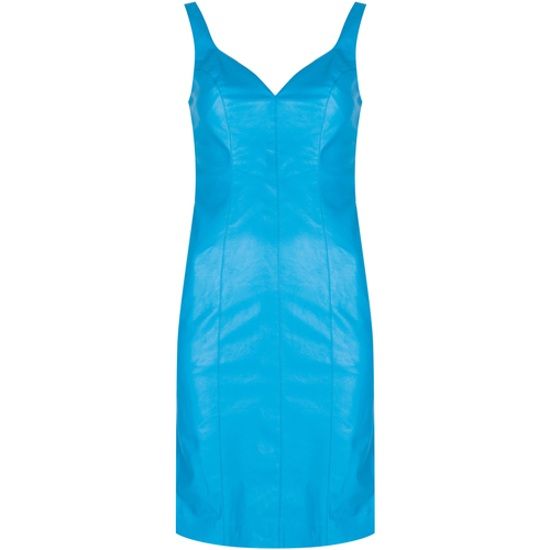 Vêtements Femme Robes courtes Pinko 1G160W 7105 | Pudico Abito Bleu