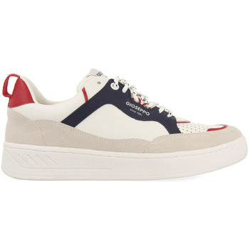 Chaussures Homme Baskets mode Gioseppo REMBERT Blanc
