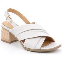 Chaussures Femme Sandales et Nu-pieds Grunland DSG-SA2608 Blanc