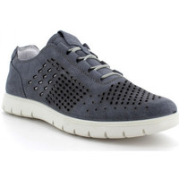 Chaussures Homme Baskets mode IgI&CO BASKETS  - JEANS 1610511 Bleu