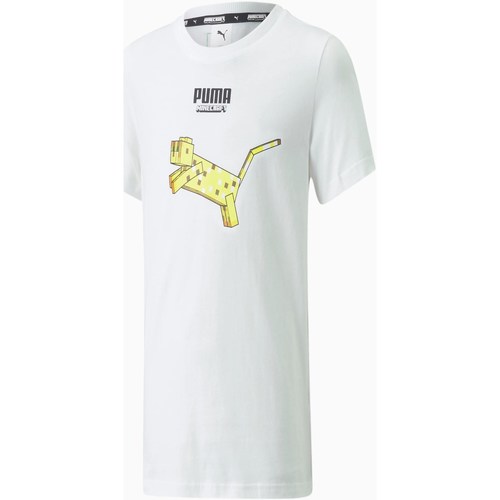 Vêtements Garçon T-shirts manches courtes Puma 533435 Blanc