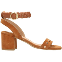 Chaussures Femme Rideaux / stores Mexx Sandales Marron