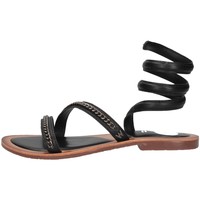 Chaussures Femme Sandales et Nu-pieds Woz 2522 Sandales Femme Noir