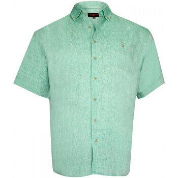 Vêtements Homme Chemises manches courtes Doublissimo chemisette en lin monte carlo vert Vert