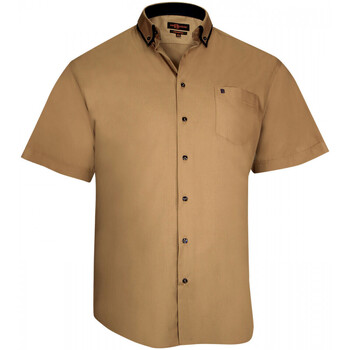 Vêtements Homme Chemises manches courtes Doublissimo chemisette double col lagos marron Marron