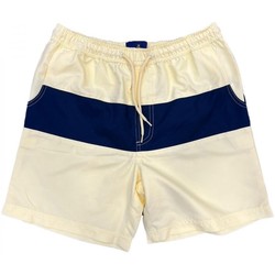 Vêtements Homme Maillots / Shorts de bain Torrente Sun Jaune