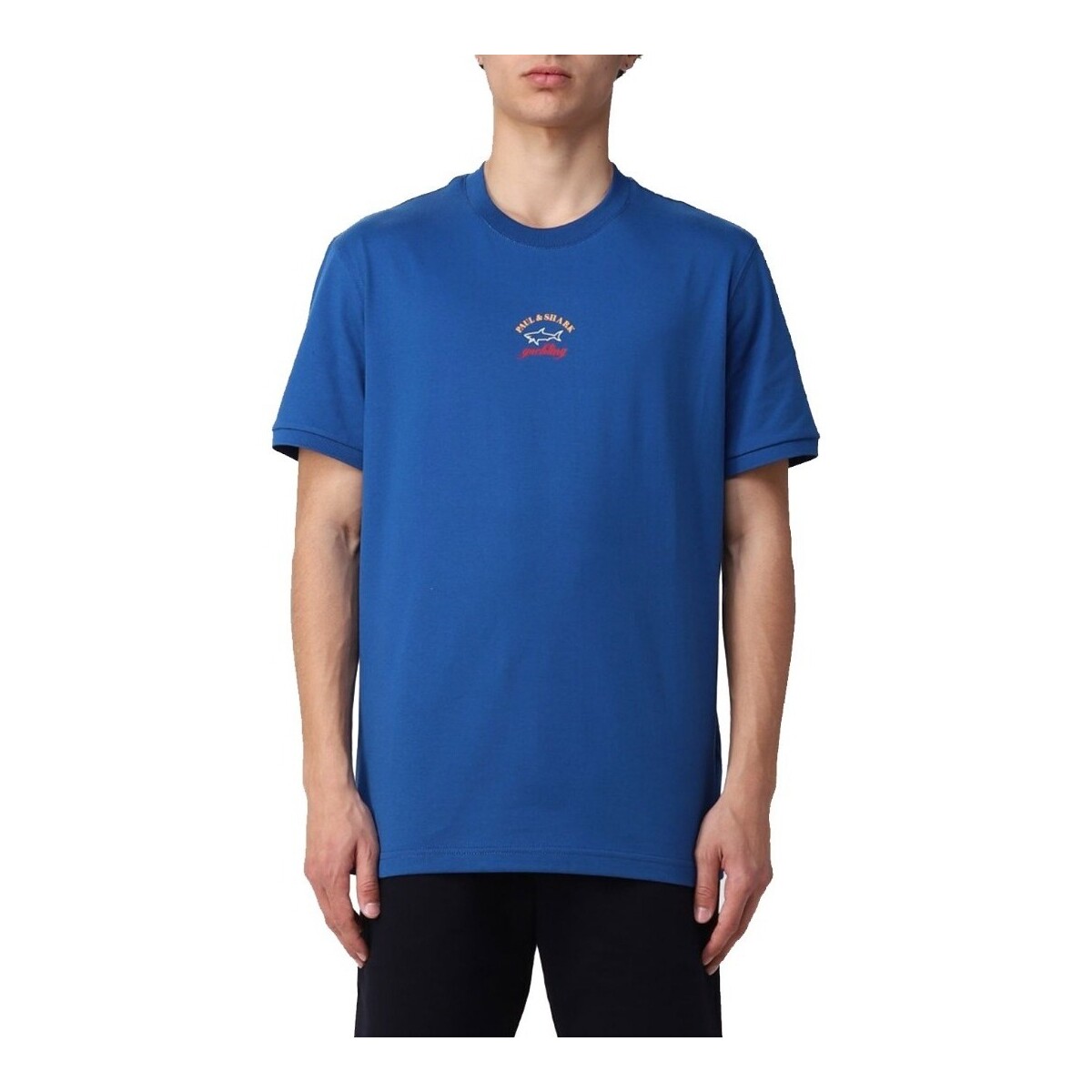 Vêtements Homme T-shirts & Polos Paul & Shark C0P1096 Bleu