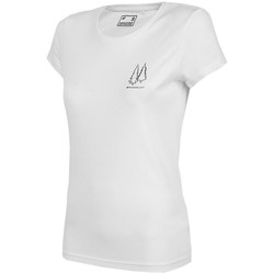 Vêtements Femme T-shirts manches courtes 4F H4L22TSD06811S 