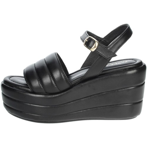 Paola Ferri D7718 Noir - Chaussures Sandale Femme 67,77 €