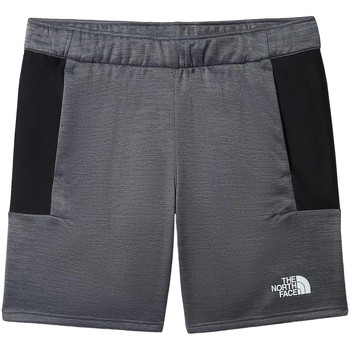 Vêtements Homme Shorts gamba / Bermudas The North Face Short Mountain Athletics Fleece Gris