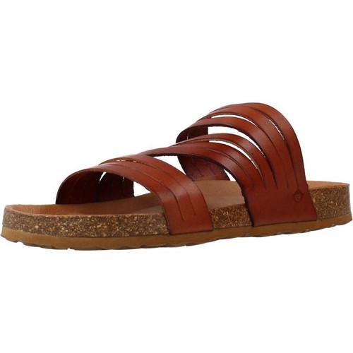 Chaussures Femme Tableaux / toiles The Happy Monk POMPEYA 013 Marron