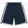 Vêtements Homme Shorts / Bermudas Champion Bermuda  (214388) Bleu