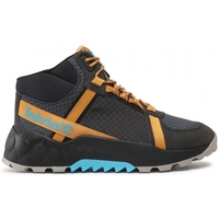 Chaussures Homme Boots Timberland SOLAR WAVE LT MID Gris