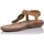 Chaussures Femme Sandales et Nu-pieds Zapp BASKETS  17063 Marron
