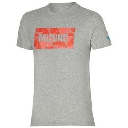 Vêtements Homme T-shirts manches courtes Mizuno Athletic Tee 