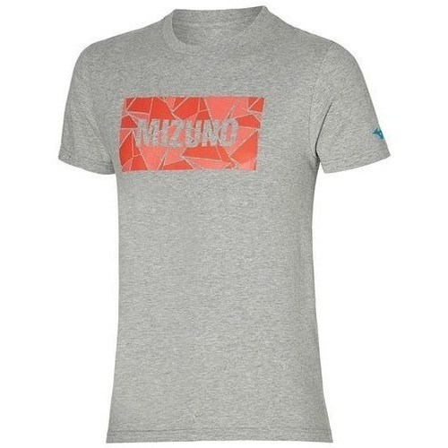 Vêtements Homme T-shirts manches courtes Mizuno Athletic Tee Gris