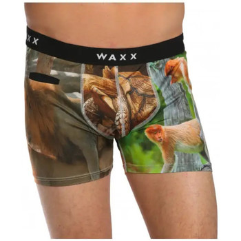 Sous-vêtements Homme Boxers Waxx Boxer Pocket ANIMALS Multicolore