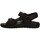 Chaussures Homme Sandales et Nu-pieds IgI&CO 1637011 Marron