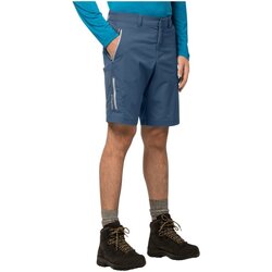 Vêtements Homme Shorts / Bermudas Jack Wolfskin  Bleu
