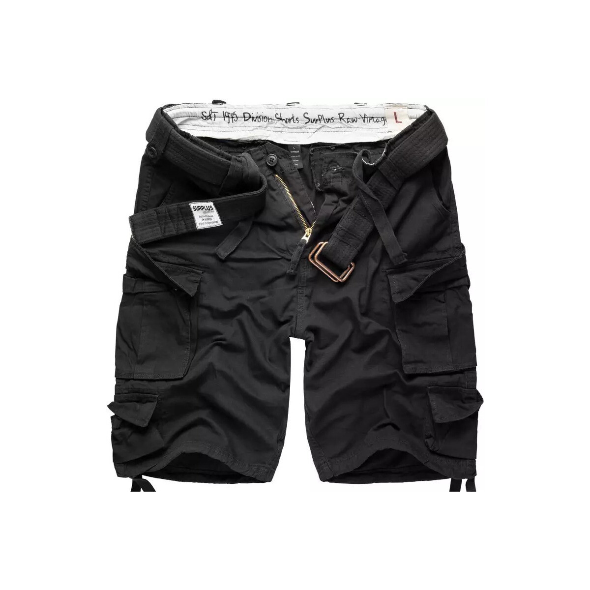 Vêtements Homme Shorts / Bermudas Surplus Shorts militaires Division Noir