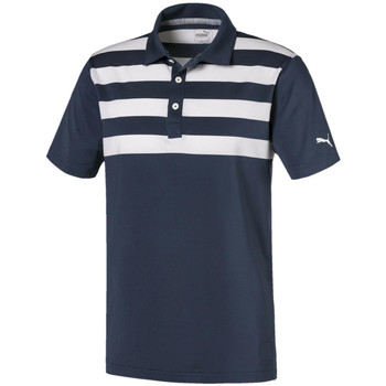 Vêtements Homme T-shirts & Polos Puma 596397-02 Bleu