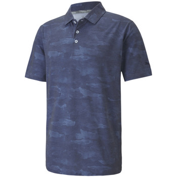 Vêtements Homme T-shirts & Polos Puma 597570-02 Bleu