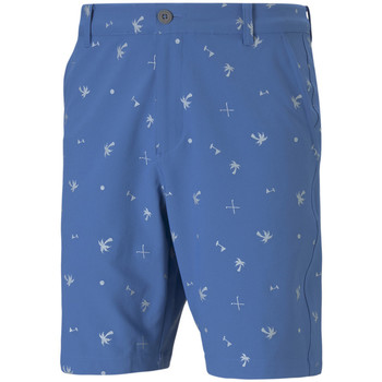 Vêtements Homme Memphis Shorts / Bermudas Puma 599239-01 Bleu