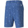 Vêtements Homme Shorts / Bermudas Puma 599239-01 Bleu