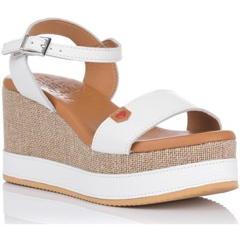 Chaussures Femme Sandales et Nu-pieds Zapp 5075 Blanc