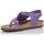 Chaussures Femme Sandales et Nu-pieds Interbios BASKETS  7162 Violet